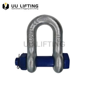 Bolt Chain Shackles