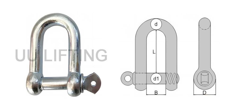 European Type Large Dee Shackle Sizes