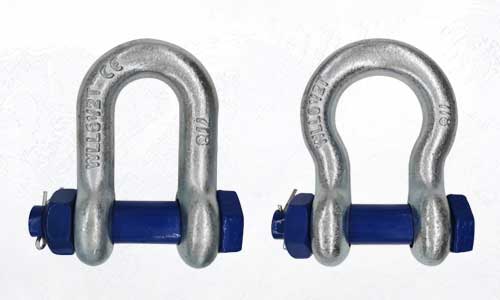 Bolt Shackles