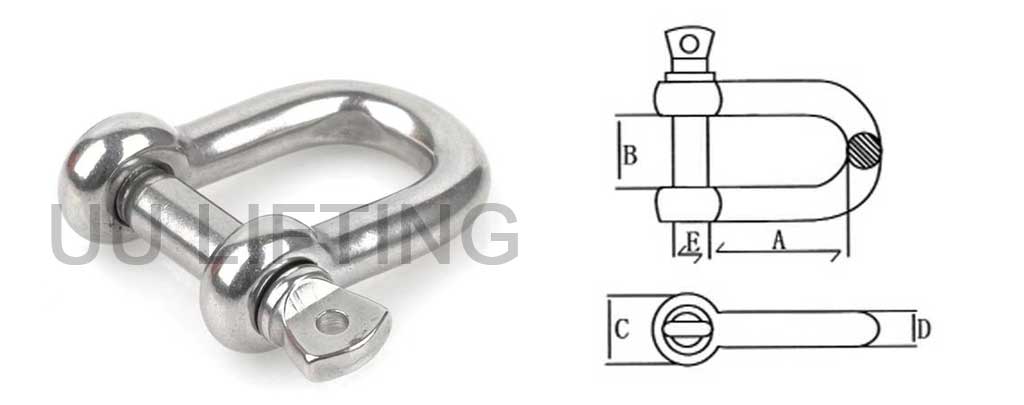 Stainless Steel D Shackle-3