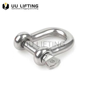 Stainless Steel Dee Shackle