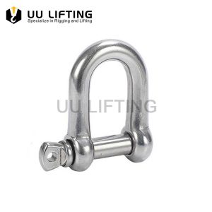 US Type Stainless Steel G210 Dee Shackle