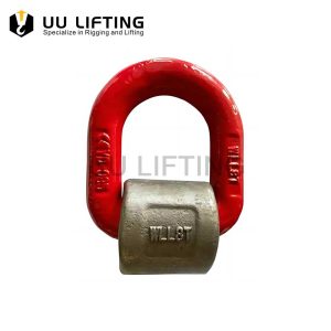 G80 Weld D Ring With Wrap