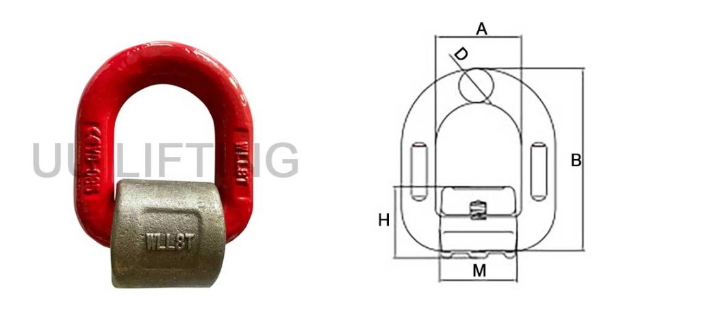 G80 Weld D Ring With Wrap Sizes