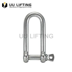 Stainless Steel Long D Shackle with Screw Pin