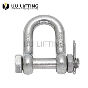 Stainless Steel Straight D Shackle with Bolt