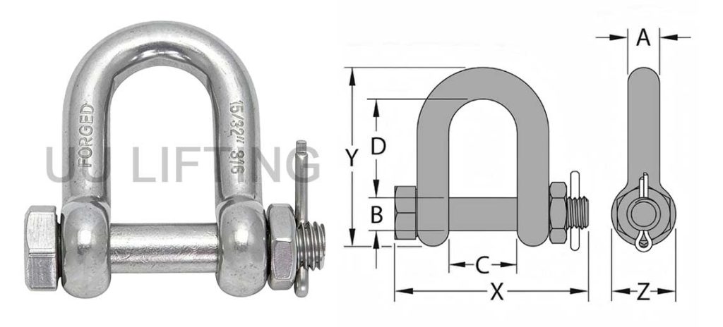 Stainless Steel Straight D Shackle with Bolt Sizes