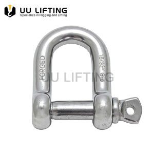 Stainless Steel Straight D Shackle with Screw Pin