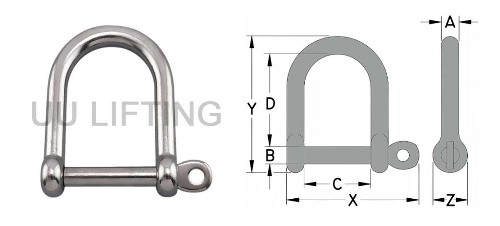 Stainless Steel Wide D Shackle with Screw Pin Sizes
