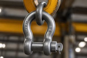 crane lifting shackle